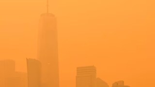 (Image: Twitter/@Casey)