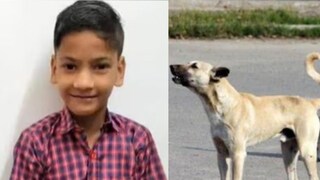 നിഹാൽ നൗഷാദ് നിഹാൽ നൗഷാദ്