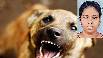 വീട്ടമ്മ പേവിഷബാധയേറ്റ് മരിച്ചു വീട്ടമ്മ പേവിഷബാധയേറ്റ് മരിച്ചു