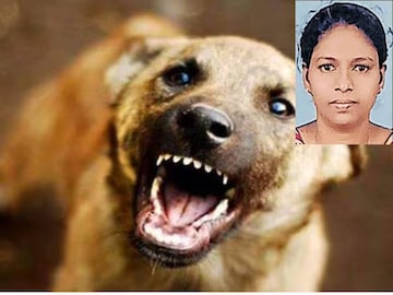 വീട്ടമ്മ പേവിഷബാധയേറ്റ് മരിച്ചു 