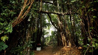 തലശ്ശേരിയിലെ ചിറക്കാവ് ഭഗവതി ക്ഷേത്രം/ Kerala Tourism