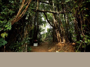 തലശ്ശേരിയിലെ ചിറക്കാവ് ഭഗവതി ക്ഷേത്രം/ Kerala Tourism