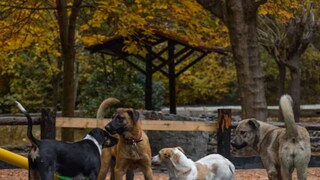 പ്രതീകാത്മക ചിത്രം