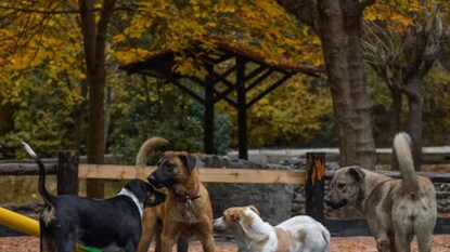 പ്രതീകാത്മക ചിത്രം പ്രതീകാത്മക ചിത്രം