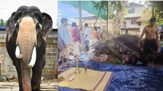 ശ്രീകണ്ഠേശ്വരം ശിവകുമാർ