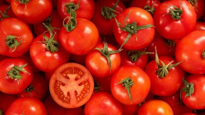 തക്കാളി വില ഉയരുന്നു തക്കാളി വില ഉയരുന്നു