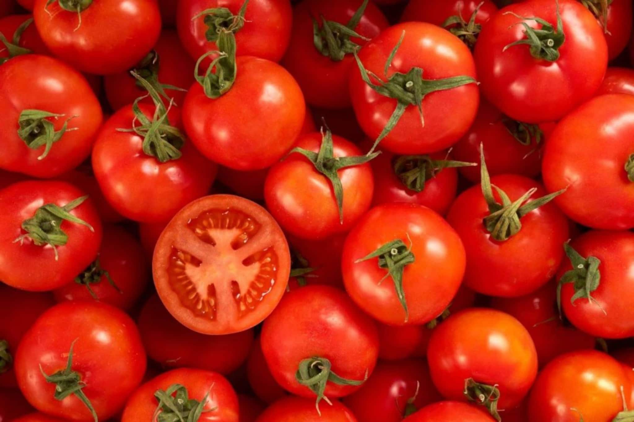 തക്കാളി വില 100 കടന്നു; ഒരാഴ്ചയ്ക്കുള്ളിൽ വില ഇരട്ടിയായി