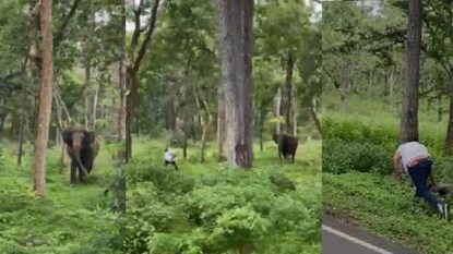 ഫോട്ടോ എടുക്കാന് ശ്രമിച്ച യുവാവിനെ ഓടിച്ച് കാട്ടാന ഫോട്ടോ എടുക്കാന് ശ്രമിച്ച യുവാവിനെ ഓടിച്ച് കാട്ടാന