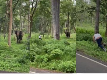 ഫോട്ടോ എടുക്കാന്‍ ശ്രമിച്ച യുവാവിനെ ഓടിച്ച് കാട്ടാന
