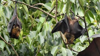 പ്രതീകാത്മക ചിത്രം പ്രതീകാത്മക ചിത്രം