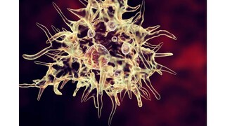  (Image: Shutterstock)