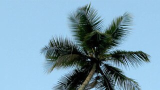 പ്രതീകാത്മക ചിത്രം പ്രതീകാത്മക ചിത്രം