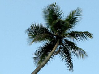 പ്രതീകാത്മക ചിത്രം