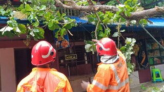 പ്രതീകാത്മക ചിത്രം