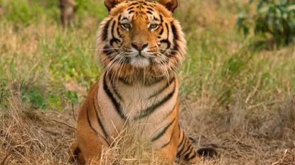 പ്രതീകാത്മക ചിത്രം പ്രതീകാത്മക ചിത്രം