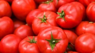 (പ്രതീകാത്മക ചിത്രം) (പ്രതീകാത്മക ചിത്രം)