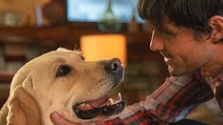 പ്രതീകാത്മക ചിത്രം പ്രതീകാത്മക ചിത്രം