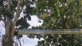 kuzhippallam