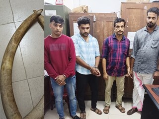 ആനക്കൊമ്പ്