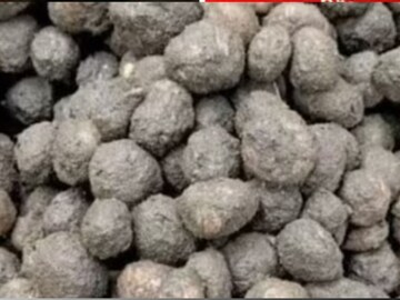 പിലിഭിട്ട് കൂൺ