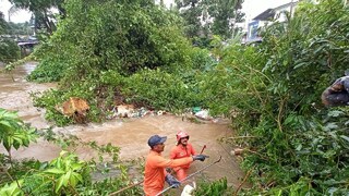 കാഞ്ഞിരപ്പള്ളി പഞ്ചായത്തിലെ ആനിത്തോട്ടത്ത് തോട്ടിലേക്ക് ഒടിഞ്ഞു വീണ മരം അഗ്നി രക്ഷാ സേന മാറ്റുന്നു. 