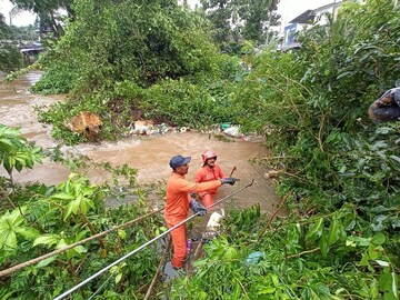 കാഞ്ഞിരപ്പള്ളി പഞ്ചായത്തിലെ ആനിത്തോട്ടത്ത് തോട്ടിലേക്ക് ഒടിഞ്ഞു വീണ മരം അഗ്നി രക്ഷാ സേന മാറ്റുന്നു. 