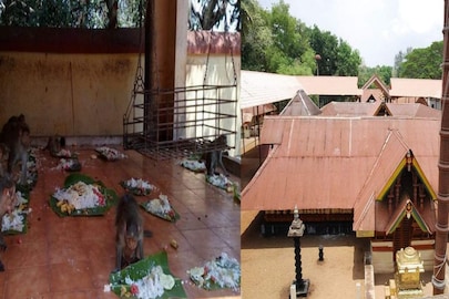 sasthamkotta temple
