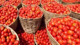 പ്രതീകാത്മക ചിത്രം