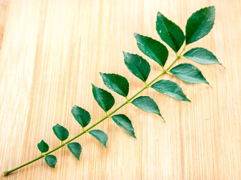 benefits of curry leaves, benefits of curry leaves for health, curry leaves benefits, curry leaves, health benefits of curry leaves, how curry leave are good for health, curry leaves benefits in hindi, major benefits of curry leaves, health care tips, curry leaves nutrients, is curry leaves good for health, കറിവേപ്പില, ഹൃദ്രോഗം പ്രമേഹം