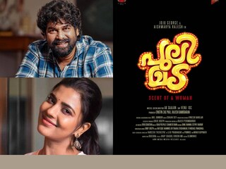 പുലിമട
