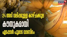 24 അടി വലിപ്പമുള്ള കാഴ്ചക്കുല; കൗതുകമായി എടപ്പാളിലെ പൂരാട വാണിഭം