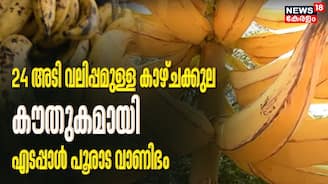 24 അടി വലിപ്പമുള്ള കാഴ്ചക്കുല; കൗതുകമായി എടപ്പാളിലെ പൂരാട വാണിഭം