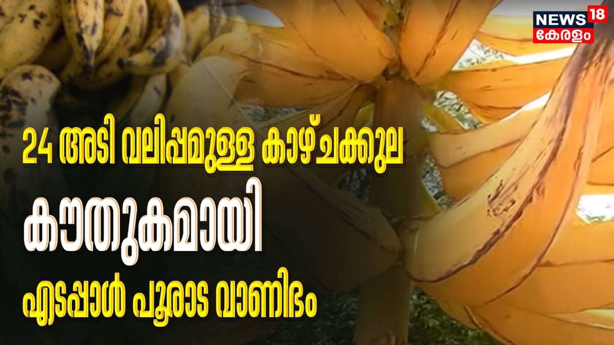 Onam 2023 | 24 അടി വലിപ്പമുള്ള കാഴ്ചക്കുല; കൗതുകമായി എടപ്പാളിലെ പൂരാട വാണിഭം