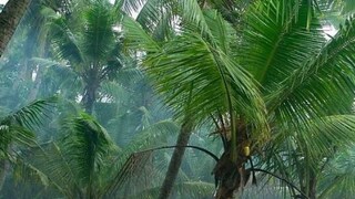 പ്രതീകാത്മക ചിത്രം