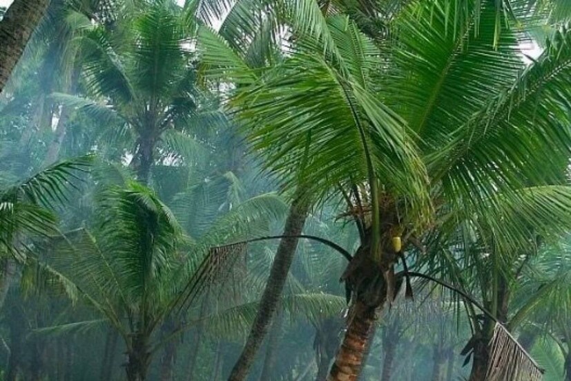 Kerala Weather Update Today, isolated rain expected on thiruvonam , Rain on Onam, ഓണം, തിരുവോണം, Onam 2023, Kerala Weather Update, Weather Update, Kerala Weather , kerala rain, rain alert, Rain in Kerala, Orange Alert, Rain, Heavy Rain, Heavy Rain I n kerala,