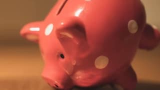 Piggy Banks Piggy Banks