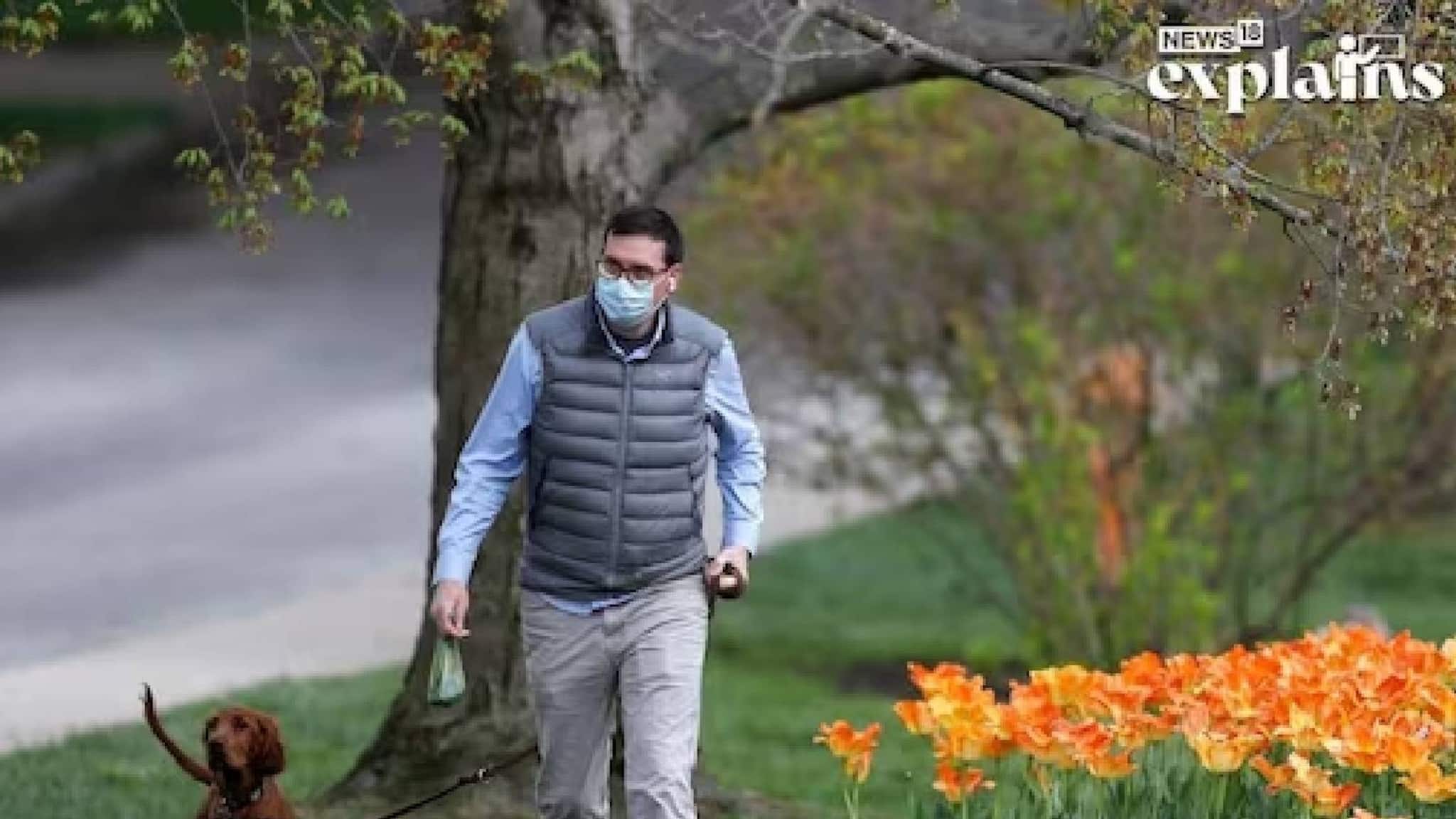 ദിവസവും 4000 ചുവട് നടന്നാല്‍ അകാലമരണ സാധ്യത കുറയും; 2337 ചുവട് നടന്നാല്‍ ഹൃദ്രോഗം പടിക്ക് പുറത്താകുമെന്ന് പഠനം