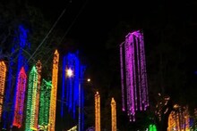 ഓണം വാരാഘോഷത്തിന് ഇന്ന് തുടക്കം; ഫഹദ് ഫാസിലും മല്ലിക സാരാഭായിയും മുഖ്യാതിഥികൾ