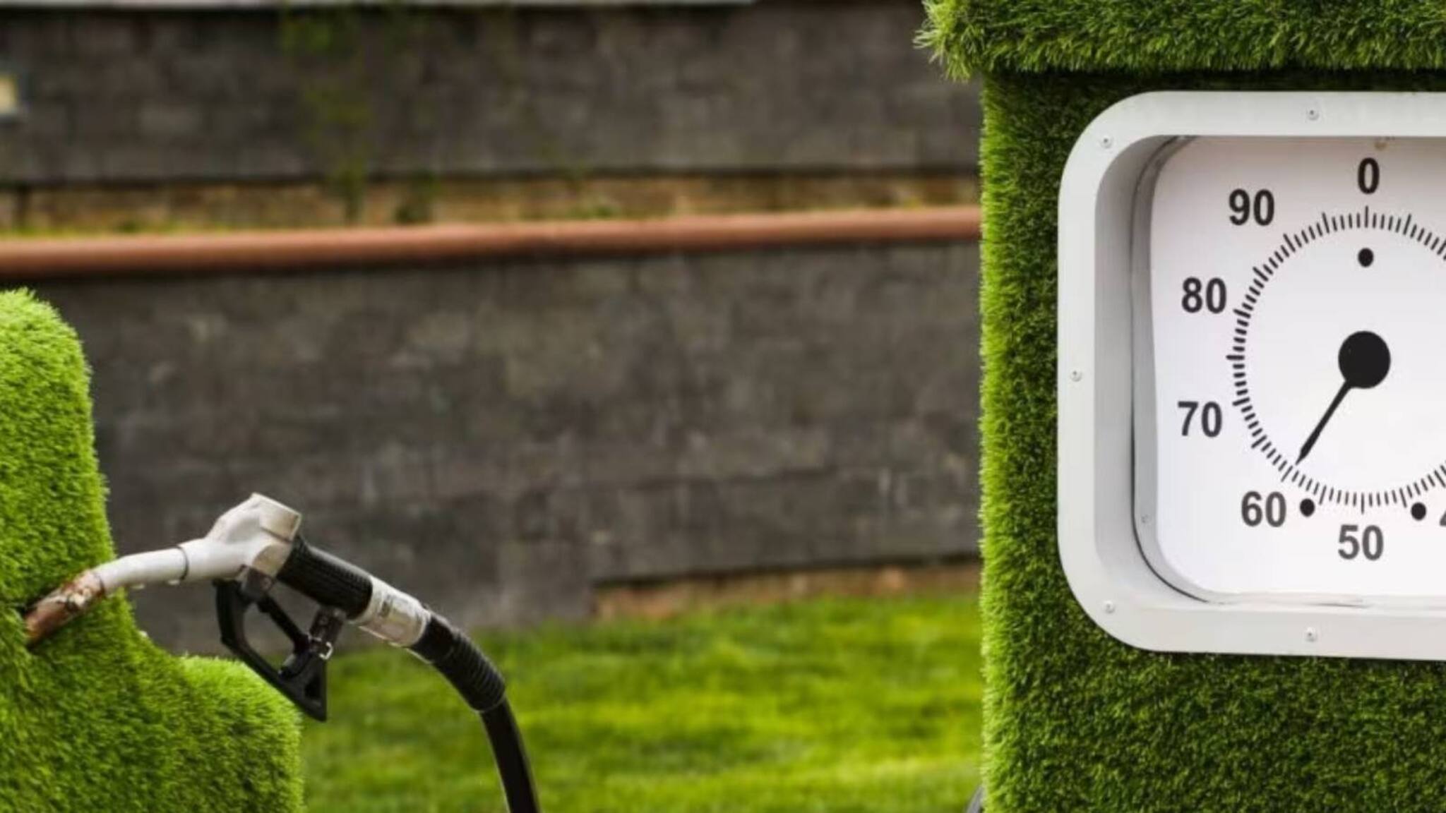 World Biofuel Day 2023 | നോൺ - ഫോസിൽ ഇന്ധനങ്ങളെ പ്രോത്സാഹിപ്പിക്കാം; ഇന്ന് ലോക ബയോഫ്യൂവൽ ദിനം