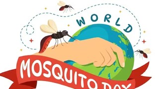 ലോക കൊതുക് ദിനം