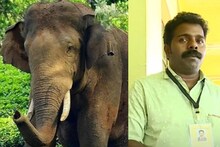 അരിക്കൊമ്പനെ തിരിച്ചെത്തിക്കുമെന്ന് പുതുപ്പള്ളിയിലെ സ്വതന്ത്ര സ്ഥാനാർഥി; ചിഹ്നം ചക്ക