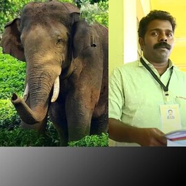 അരിക്കൊമ്പനെ തിരിച്ചെത്തിക്കുമെന്ന് പുതുപ്പള്ളിയിലെ സ്വതന്ത്ര സ്ഥാനാർഥി; ചിഹ്നം ചക്ക
