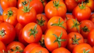 (പ്രതീകാത്മക ചിത്രം)