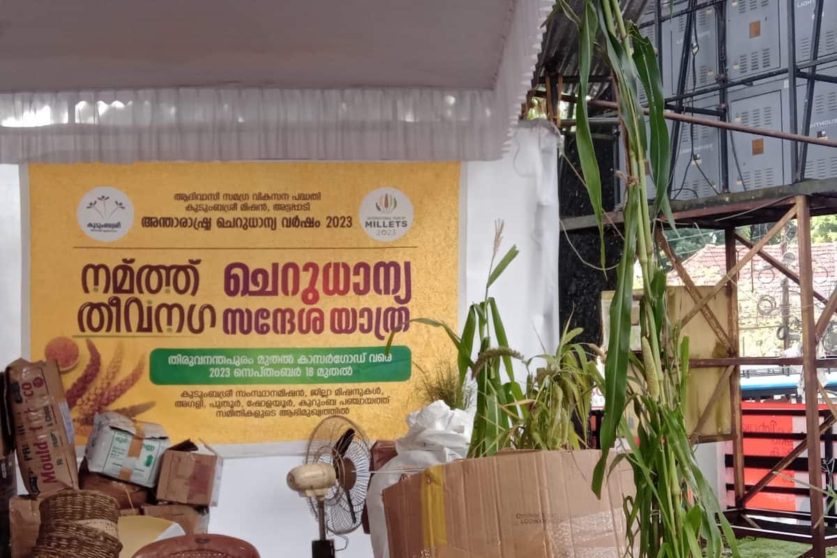 വ്യത്യസ്ത രുചികളും വിഭവങ്ങളും പരിചയപ്പെടുത്തി കുടുംബശ്രീ മിഷൻ