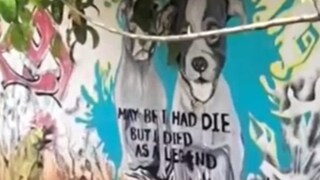 കഞ്ചാവ് റെയ്ഡ് കഞ്ചാവ് റെയ്ഡ്