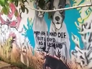 കഞ്ചാവ് റെയ്ഡ്