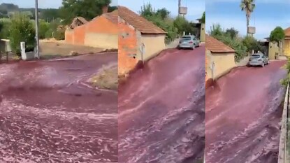 (X/ Massimo) (X/ Massimo)