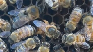 പ്രതീകാത്മക ചിത്രം