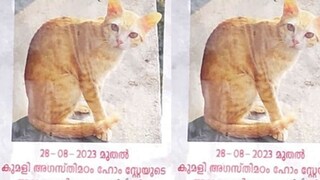 കുമളിയിൽ വ്യാപകമായി പതിച്ചിരിക്കുന്ന പോസ്റ്ററുകളിലൊന്ന്