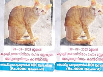 കുമളിയിൽ വ്യാപകമായി പതിച്ചിരിക്കുന്ന പോസ്റ്ററുകളിലൊന്ന്